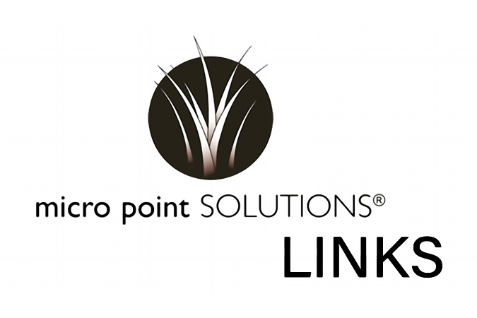 Micro Point Solutions LINKS Logo